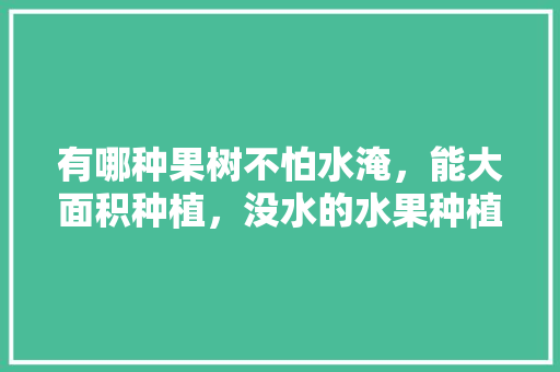 有哪种果树不怕水淹，能大面积种植，没水的水果种植会怎么样。