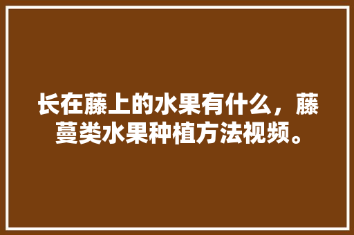 长在藤上的水果有什么，藤蔓类水果种植方法视频。