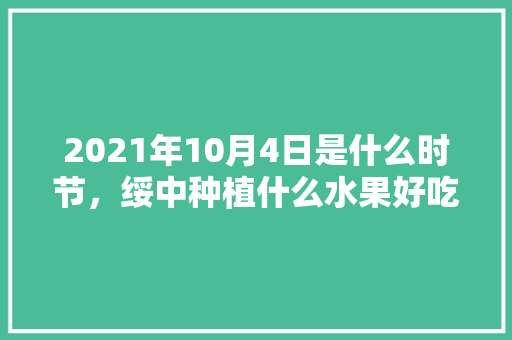 2021年10月4日是什么时节，绥中种植什么水果好吃又实惠。 水果种植