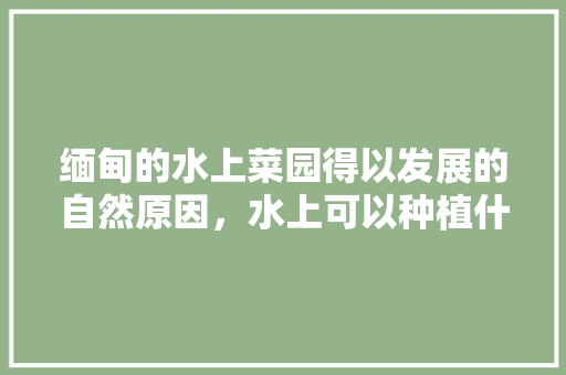 缅甸的水上菜园得以发展的自然原因，水上可以种植什么水果呢。