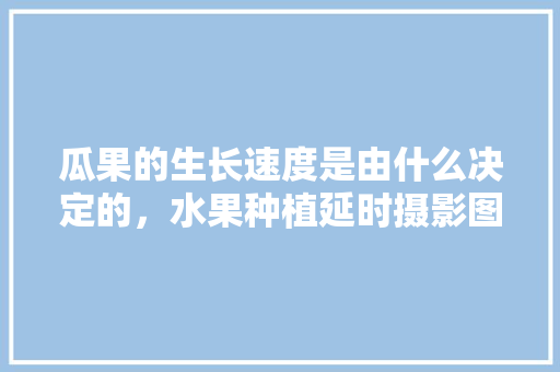 瓜果的生长速度是由什么决定的，水果种植延时摄影图片。