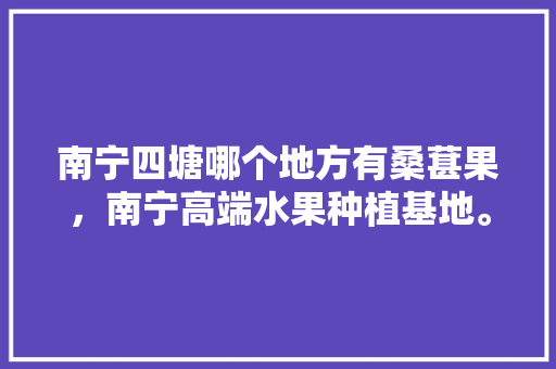 南宁四塘哪个地方有桑葚果，南宁高端水果种植基地。