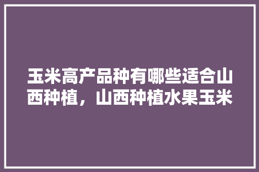 玉米高产品种有哪些适合山西种植，山西种植水果玉米的地方。