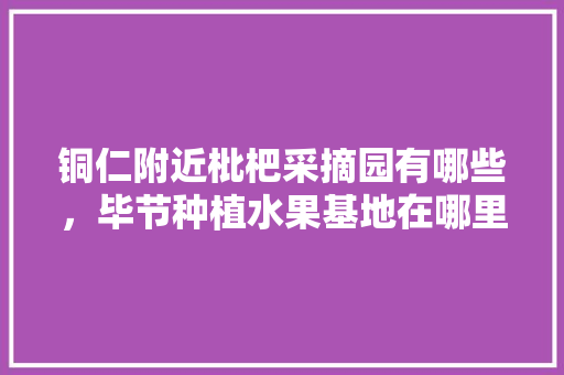 铜仁附近枇杷采摘园有哪些，毕节种植水果基地在哪里。