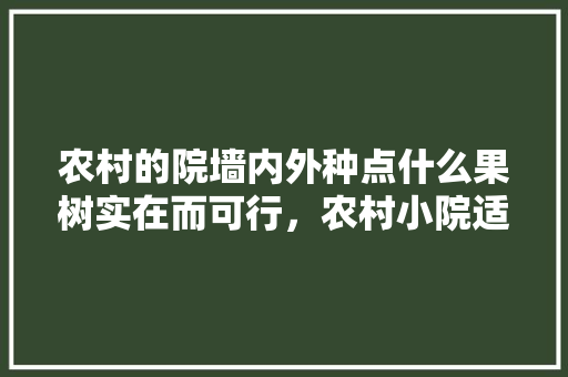 农村的院墙内外种点什么果树实在而可行，农村小院适合种植水果树吗。