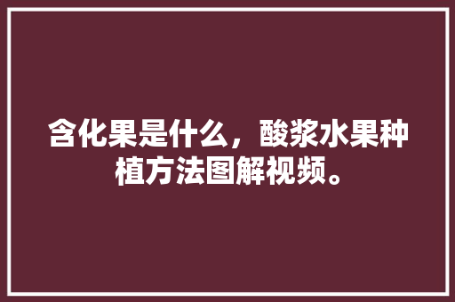 含化果是什么，酸浆水果种植方法图解视频。 畜牧养殖