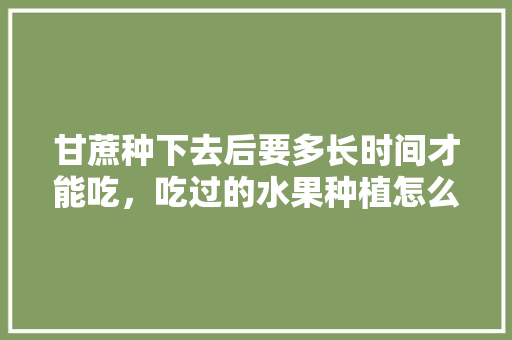 甘蔗种下去后要多长时间才能吃，吃过的水果种植怎么保存。