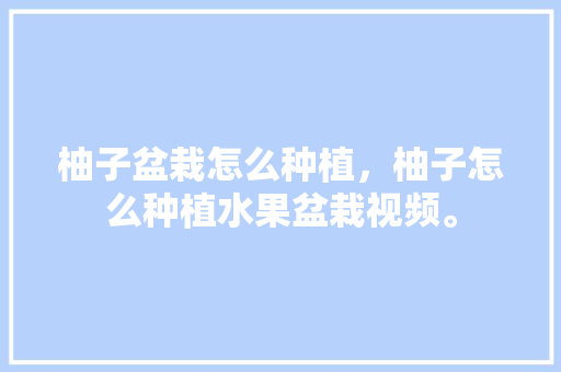 柚子盆栽怎么种植，柚子怎么种植水果盆栽视频。