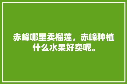 赤峰哪里卖榴莲，赤峰种植什么水果好卖呢。