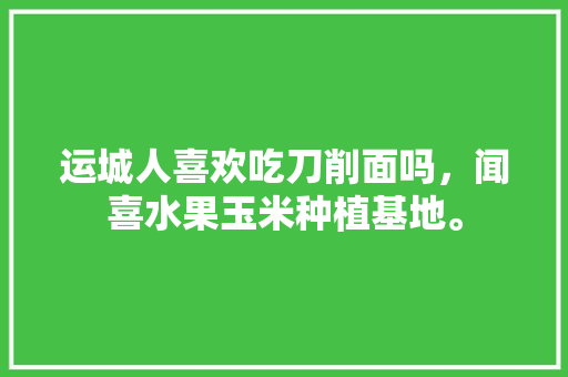 运城人喜欢吃刀削面吗，闻喜水果玉米种植基地。