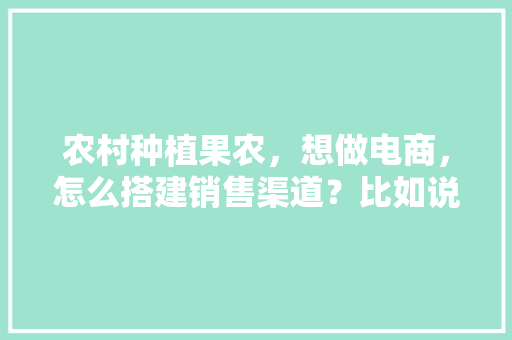 农村种植果农，想做电商，怎么搭建销售渠道？比如说平台什么之类的，种植水果产业人才工作总结报告。