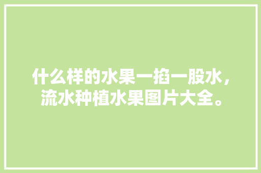 什么样的水果一掐一股水，流水种植水果图片大全。