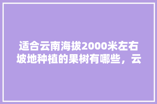 适合云南海拔2000米左右坡地种植的果树有哪些，云南少众水果种植基地。