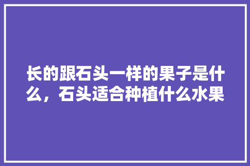 长的跟石头一样的果子是什么，石头适合种植什么水果树。