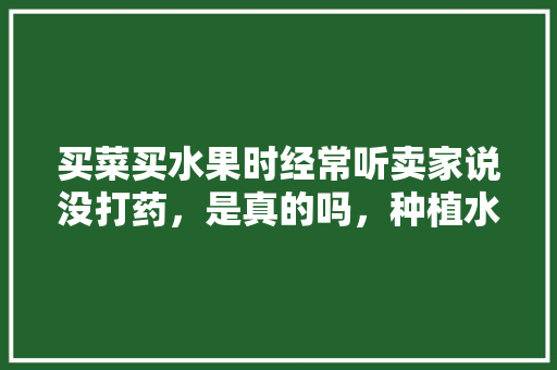 买菜买水果时经常听卖家说没打药，是真的吗，种植水果骗局揭秘图片。 水果种植