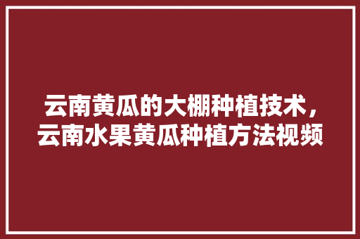 云南黄瓜的大棚种植技术，云南水果黄瓜种植方法视频。