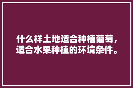 什么样土地适合种植葡萄，适合水果种植的环境条件。