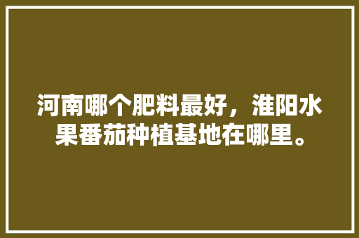 河南哪个肥料最好，淮阳水果番茄种植基地在哪里。