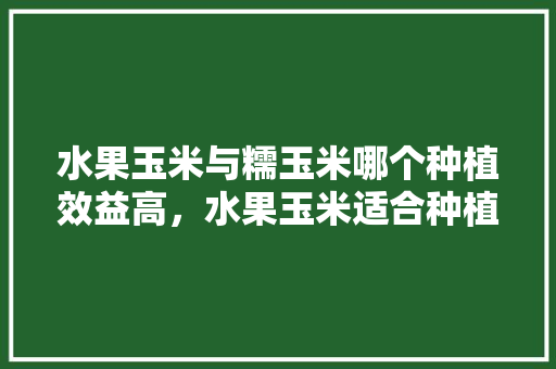 水果玉米与糯玉米哪个种植效益高，水果玉米适合种植地方有哪些。 畜牧养殖