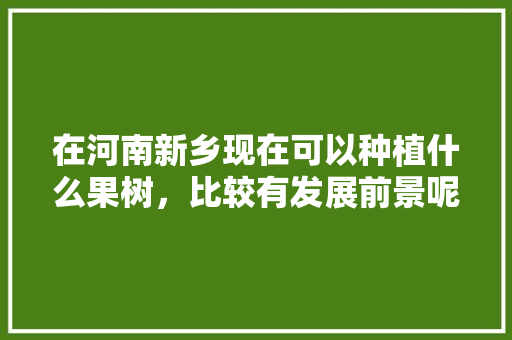 在河南新乡现在可以种植什么果树，比较有发展前景呢，民权县水果种植面积。