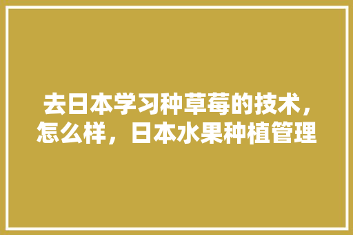 去日本学习种草莓的技术，怎么样，日本水果种植管理视频。