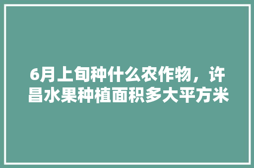 6月上旬种什么农作物，许昌水果种植面积多大平方米。