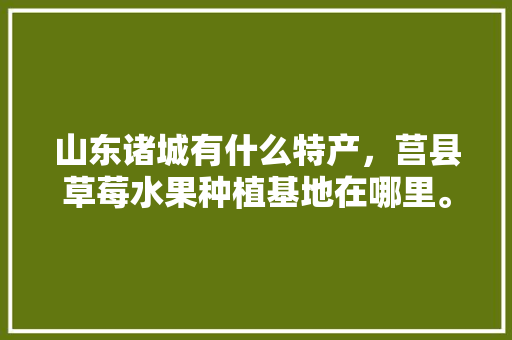 山东诸城有什么特产，莒县草莓水果种植基地在哪里。