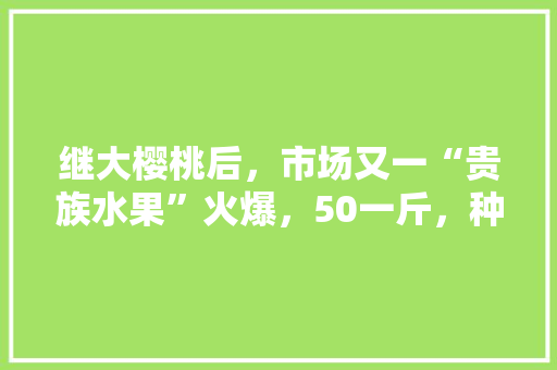 继大樱桃后，市场又一“贵族水果”火爆，50一斤，种植效益好吗，农村种植网红水果有哪些。