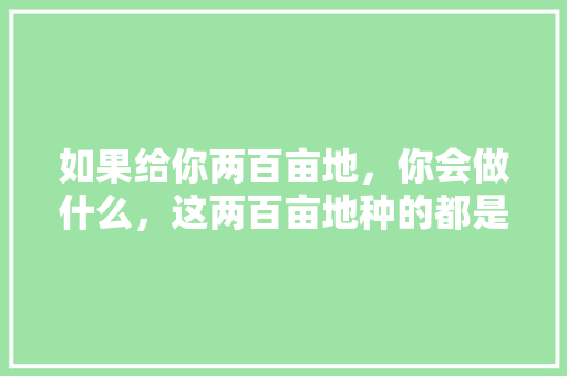 如果给你两百亩地，你会做什么，这两百亩地种的都是核桃，该怎么开发利用，60亩水果种植技术要求。