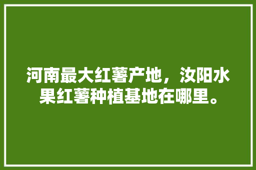 河南最大红薯产地，汝阳水果红薯种植基地在哪里。