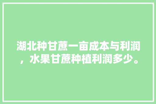 湖北种甘蔗一亩成本与利润，水果甘蔗种植利润多少。