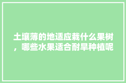 土壤薄的地适应栽什么果树，哪些水果适合耐旱种植呢。