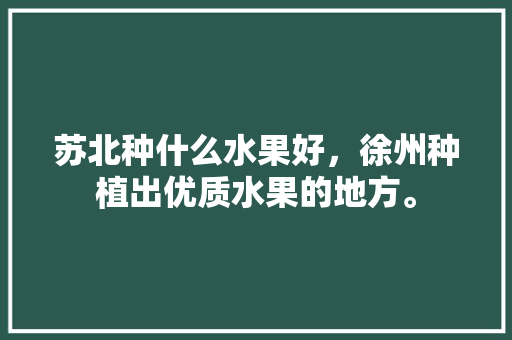 苏北种什么水果好，徐州种植出优质水果的地方。