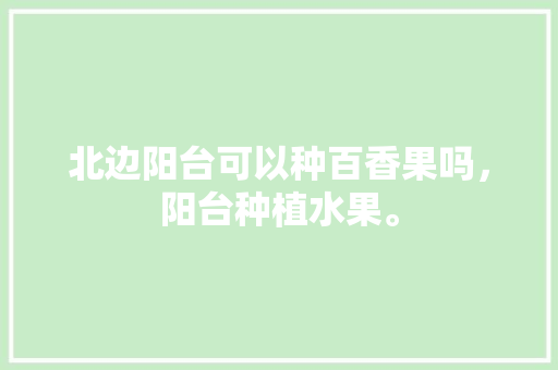 北边阳台可以种百香果吗，阳台种植水果。 水果种植