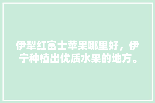 伊犁红富士苹果哪里好，伊宁种植出优质水果的地方。