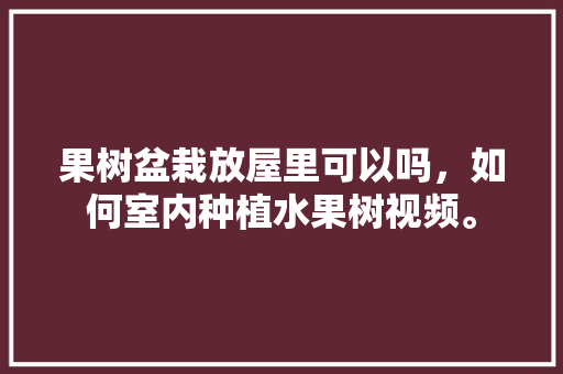 果树盆栽放屋里可以吗，如何室内种植水果树视频。