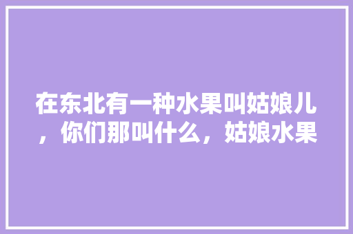 在东北有一种水果叫姑娘儿，你们那叫什么，姑娘水果种植方法视频。