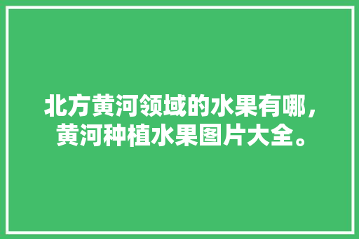 北方黄河领域的水果有哪，黄河种植水果图片大全。