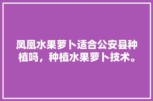 凤凰水果萝卜适合公安县种植吗，种植水果萝卜技术。