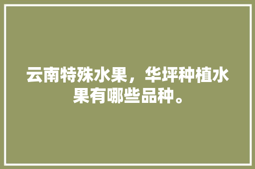 云南特殊水果，华坪种植水果有哪些品种。