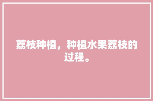 荔枝种植，种植水果荔枝的过程。 畜牧养殖