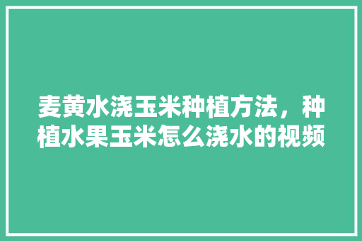 麦黄水浇玉米种植方法，种植水果玉米怎么浇水的视频。