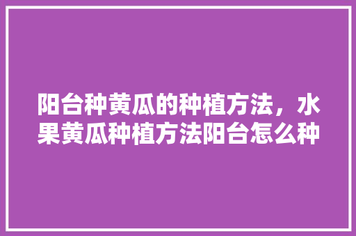 阳台种黄瓜的种植方法，水果黄瓜种植方法阳台怎么种。