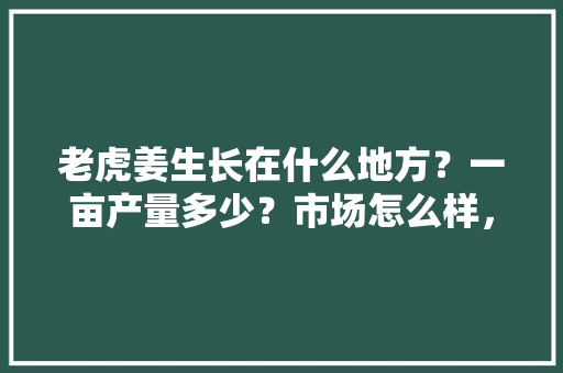 老虎姜生长在什么地方？一亩产量多少？市场怎么样，猫儿屎水果产地在哪。