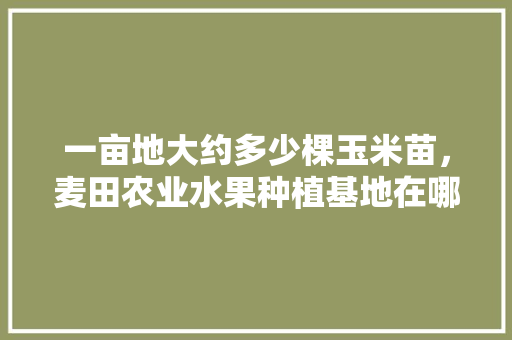 一亩地大约多少棵玉米苗，麦田农业水果种植基地在哪里。 家禽养殖