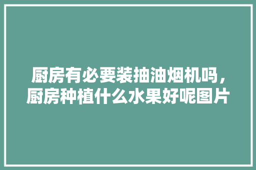 厨房有必要装抽油烟机吗，厨房种植什么水果好呢图片。