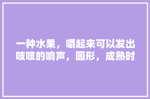 一种水果，嚼起来可以发出吱吱的响声，圆形，成熟时为黄色，学名叫什么，种植的水果。