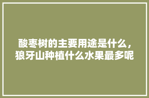 酸枣树的主要用途是什么，狼牙山种植什么水果最多呢。 蔬菜种植