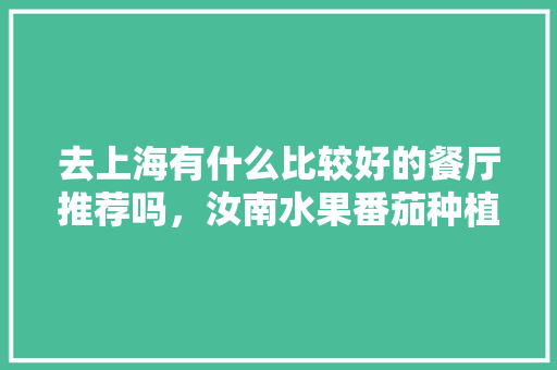 去上海有什么比较好的餐厅推荐吗，汝南水果番茄种植基地。