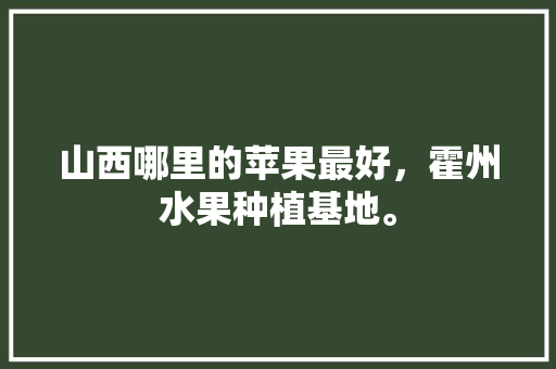 山西哪里的苹果最好，霍州水果种植基地。